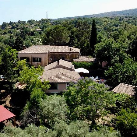 Bed And Breakfast Il Glicine Пьедимонте-Этнео Экстерьер фото